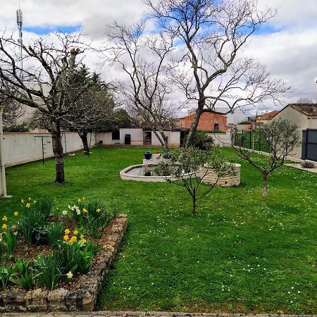 Maison Plain Pied Avec Jardin, Terrasse Et Veranda Cognac Eksteriør bilde